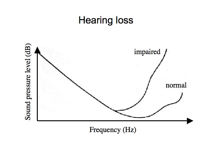Perception Lecture Notes The Ear